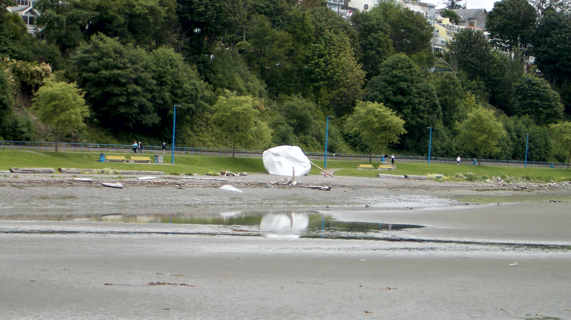 Bringing Vision to Life